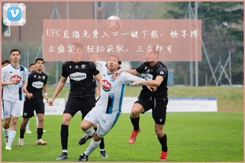 UFC直播免费入口一键下载，畅享搏击盛宴，轻松获取，三步即可