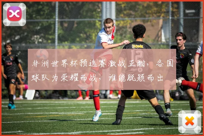 非洲世界杯预选赛激战正酣，各国球队为荣耀而战，谁能脱颖而出