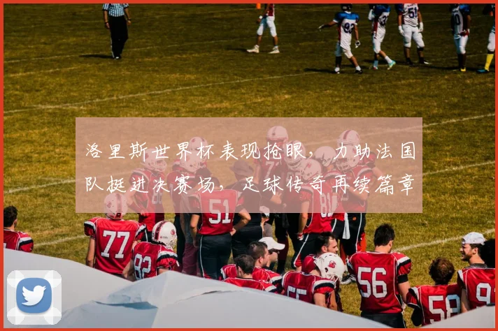 洛里斯世界杯表现抢眼，力助法国队挺进决赛场，足球传奇再续篇章，激情碰撞不容错过
